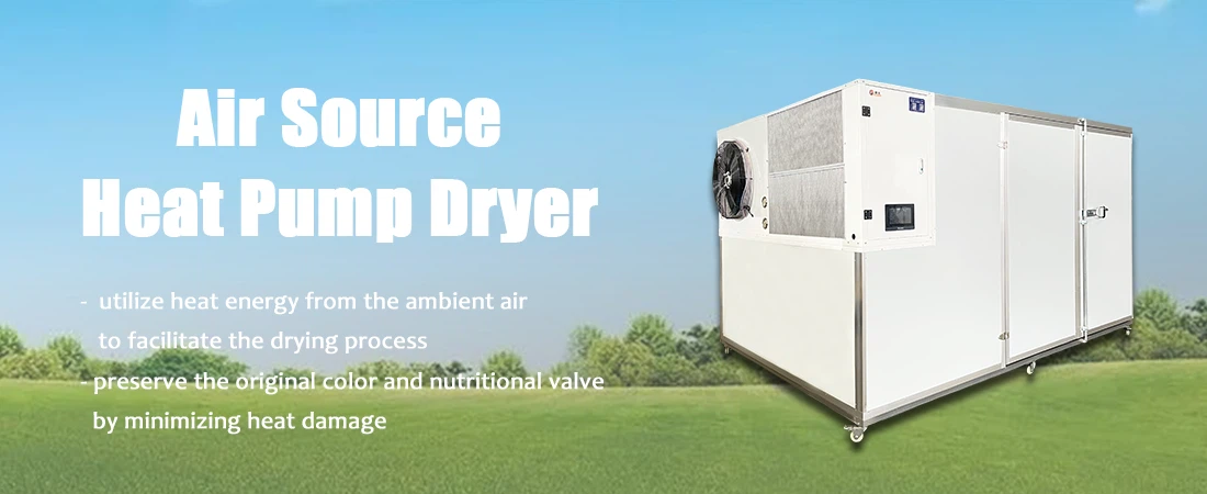 -EN-1.1.png -EN-1.1.png